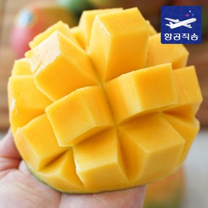 [항공직송] 페루 브라질 애플망고 2kg 4kg 가정용 선물세트, 1.[실속형] 애플망고 3-5과 (2kg), 1개