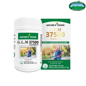 호주 네이쳐스탑 초록입홍합 GLM 37500mg 365캡슐 + 로얄 콜라겐 1+1 증정, 365정, 1세트