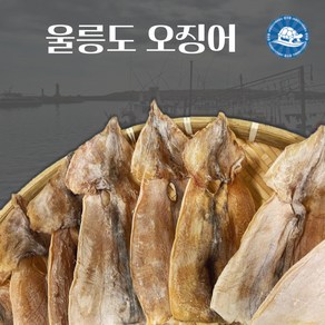 장수왕 울릉도오징어 (10마리) 500g내외 /마른 오징어 건오징어