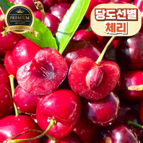[프리미엄] 고당도 생체리 항공직송, 1개, 대 1kg