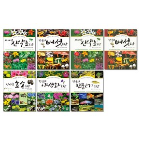 사진으로 쉽게 알아보는 버섯 산약초 효소 야생화 도감 식물 책, A02. 한국의 버섯 도감, 1개