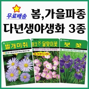 아람종묘 봄 가을파종 다년생꽃씨 3종세트 가을꽃씨 노지월동 야생화 벌개미취 분홍낮달맞이 붓꽃 아이리스 분홍달맞이꽃 개미취 종자 주주씨앗, 1개