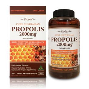 프로비 프로폴리스 2000mg 365정(PROBEE PROPOLIS 2000) + 사은품, 365정, 1개