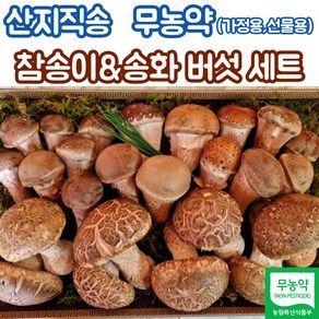 산지직송 국내산 무농약 참송이버섯 송화버섯 600g 1kg, 2개