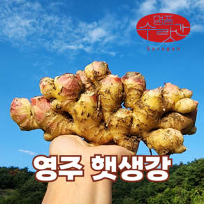 명품수랏간 영주 봉화 서산 햇생강 흙생강 특품