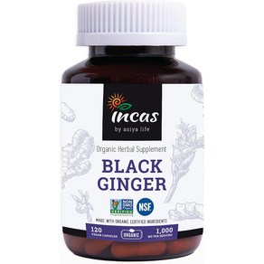 INCAS 오가닉 블랙진저 끄라차이담 영양제 500MG, 120정, 3개