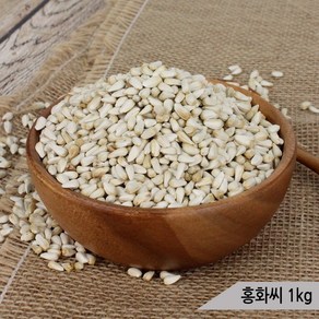 건강알곡 홍화씨 1kg 앵무새 햄스터간식 칼슘 뼈건강, 1개