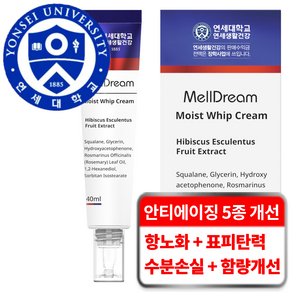 연세생활건강 멜드림 5중 안티에이징 스킨부스터 데일리 모이스트 휩 크림, 1개, 40ml