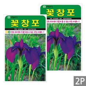 세인화분 꽃창포 20립 - 국산 야생화 꽃 씨 씨앗, 2개