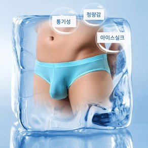 신가브루크 남성 팬티 삼각팬티 스판 아이스심플 브리프 남자 속옷 섹시