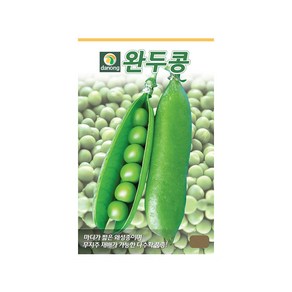 모두다 다농 채소씨 다농완두콩씨앗(50g)