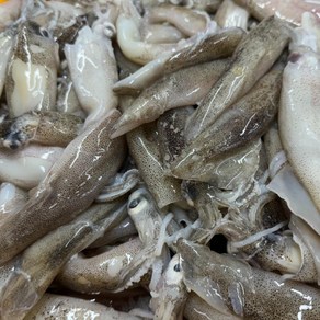 자연산 생물 급냉 총알한치 500g(15~25미 내외) 내장 통찜, 1개, 총알한치 2kg(500g*4팩)