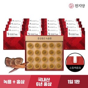 [천지양] 홍삼품은 녹용환 20환*20박스 +쇼핑백, 75g, 20개