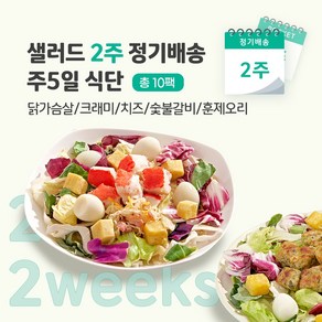 [포켓샐러드] 샐러드 2주 정기배송 주5일 (베스트 샐러드_닭+크래미+치즈+숯불+훈제오리), 10개, 245g