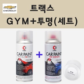 쉐보레 트랙스 GYM 새틴스틸그레이 스프레이 페인트 + 투명스프레이