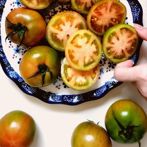 [부산 산지직송] 당일수확 제철한정 대저토마토 짭짤이, 1박스, 2.5kg(대저짭짤이토마토 S-2S)