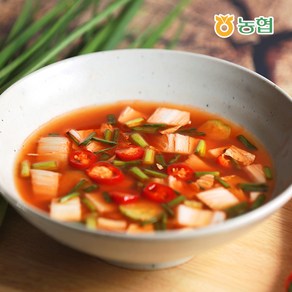 [선도농협] 국산 선장나박김치 2kg, 단일옵션, 1개