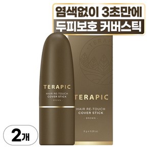 테라픽 헤어 리-터치 커버스틱 8g