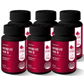 바이탈나인 석류정 600mg x 90정, 6개