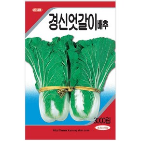 엇갈이배추 씨앗 3000립 - 얼갈이배추씨앗 얼갈이배추씨 주말농장 하우스 배추씨 야채씨 배추씨앗, 1개