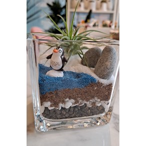 [피아트테라리움] 테라리움만들기 만들기diy/ 겨울방학 겨울방학만들기 방학놀거리 원예활동 원예 단체만들기 환경수업 환경프로그램 화분심기, 펭귄나라, 1개