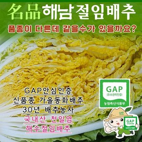 (해남북평면 산지직송 30년배추농사) 품종이다른 단맛나고 아삭한 명품해남절임배추 20kg (대장균안심 GAP인증), 1개