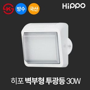 히포 국산 LED 외부 벽등 벽부형 투광등 30W (DEQ030), 백색