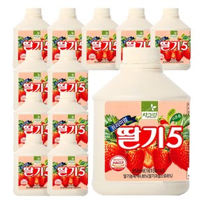 차그림 딸기 원액 850ml, 12개