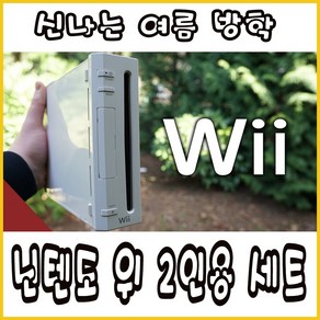 닌텐도 위 Nintendo wii 2인세트