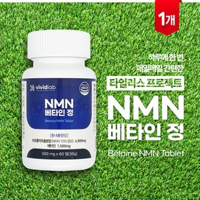 비비드랩 NMN영양제 NMN베타인 브로콜리추출 식물성엔엠엔 1일1회1정, 1개, 60정