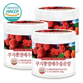 푸른들판 국산 꾸지뽕 열매 분말, 3개, 160g