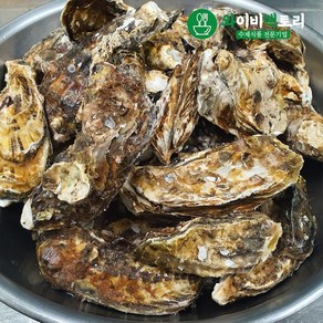 남해 고흥산 각굴 석화, 4kg, 1개