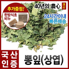 자애인 국산 뽕잎 300g 상엽 뽕나무잎 뽕잎차 충북제천