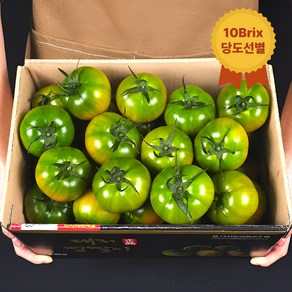 [재구매율1위] 부산 대저 토마토 특품, 1개, 2.5kg(3S-S)