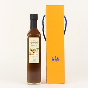 힐링힐 생강진액 500ml (650g) _힐링힐, 1개, 1개, 1개입