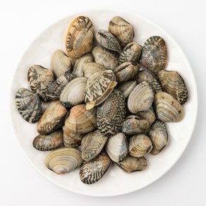 거제 해녀채취 자연산 바지락 1kg 90미내외 깐바지락 손질 해감완료 선별 산지직송, 손질 깐바지락 300g(냉동), 1개