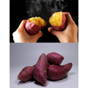 24년수확 황토 햇 꿀 밤고구마 3kg 5kg 10kg, 1개, 한입5kg(40g-90g)