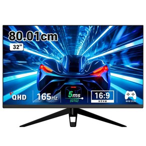 디엑스 80cm(32인치) QHD 165Hz 고성능 게이밍 컴퓨터 모니터 D132EF-H2