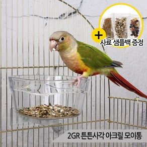 2GR 튼튼사각 아크릴 모이통 급식기 앵무새 At254, [단일상품], 1개