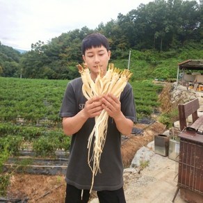 도라지 약도라지 흙 세척 햇 깐도라지 24년 국산 1kg [원산지:국산 경북 영주 봉화 예천 안동], 1개, 흙약도라지(실속) 1kg