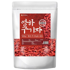 건강중심 최상품 영하 구기자 건구기자, 1개, 500g