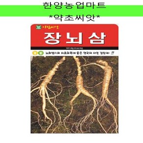 약초-장뇌삼/씨앗/종자/200립, 1개