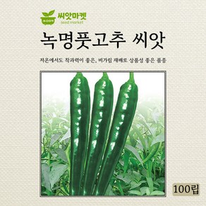 다농 녹명풋고추 씨앗 100립, 1개