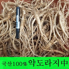 [금산도라지] 직접재배한 약도라지1kg 생도라지 *국산100%*, 1개, 약도라지(중) 1kg