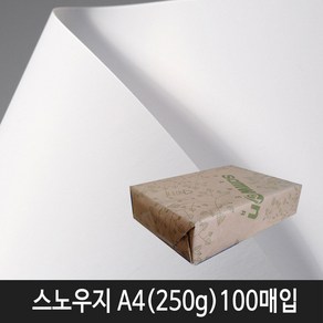 삼원특수지 스노우지 250g A4(210x297mm) 100매입 1속(무광택지)