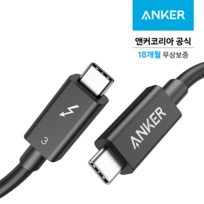 앤커 USB C to C 썬더볼트3 100W PD 고속충전 케이블, 블랙, 70cm, 1개