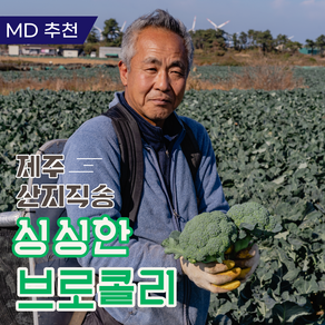 제주 햇 브로콜리 특품, 1박스, 4kg (상품)