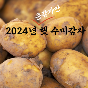 24년 국산 햇감자 수미감자 큰감자, 1개, 왕특1kg