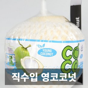 나만의건강by설리마켓 직수입 베트남 프리미엄 영코코넛 9과 9kg, 1개, 영코코넛9입(9kg)