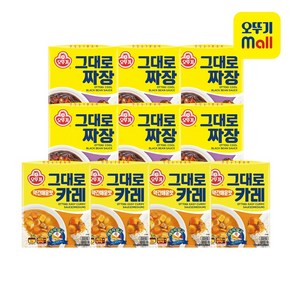 바로 먹는 오뚜기 그대로 카레 200g /짜장 200g 쇠고기 세트 (약간매운맛 4개 x 짜장 6개), 1개